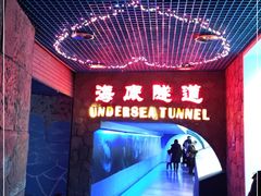 -太平洋海底世界