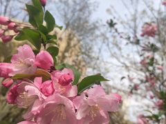 -徐家汇源景区-衡山公园