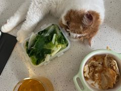 -龙华素斋(龙华路店)