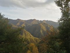 -牛背梁国家森林公园