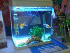 -7天优品(北京鼓楼后海店)