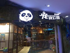 -龟与熊猫宠物公园(南坪店)