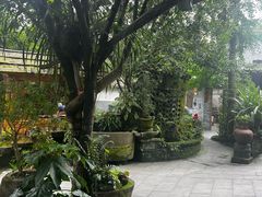 -青城甲(青城山店)