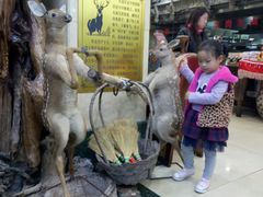 -乔家满族八大碗(流水沟店)