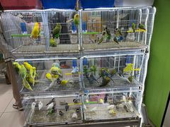 -三旗百汇商品城