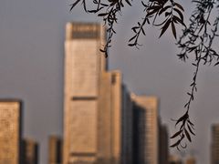 -天鹅湖体育公园