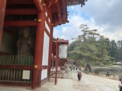 -奈良公园