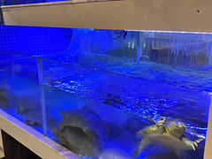 -王捌小院(红花坡店)