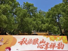 -狼山风景名胜区