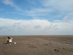 -黄海国家森林公园