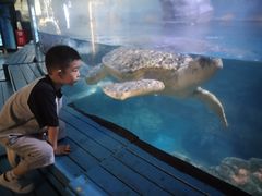 -烟台海昌鲸鲨海洋公园