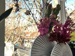 -蝶舍·MAISON PAPILLON