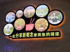 -新概念来凤鱼(璧山店)