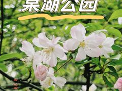 -棠湖公园
