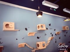 -猫咪咖啡·猫咖(万达广场店)