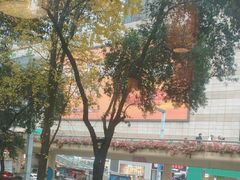 -蜀大侠火锅(寰球文化地标·总府店)