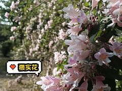 -太阳宫公园