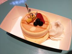 -狐狸和向日葵(北京路店)