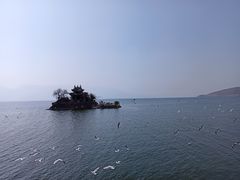 -小普陀