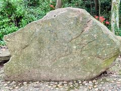 -上海佘山国家森林公园天马山园