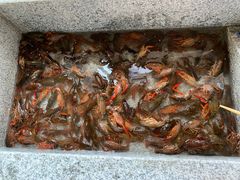 -青石桥市场北1-27号