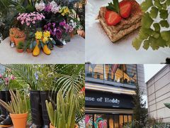 -PlantsEatery·植物食堂(REX春熙店)