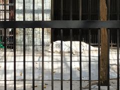 -广东茂名森林公园