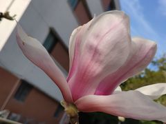 -星巴克(上海交通大学店)