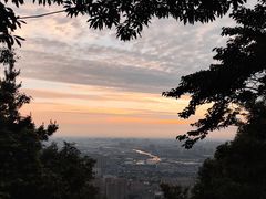 -惠山国家森林公园