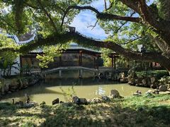 -江心屿景区