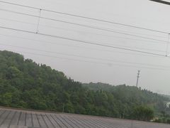 -岳阳东站