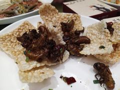 -杭嵊粗菜馆(文一西路店)