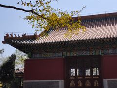 -厦门园林博览苑