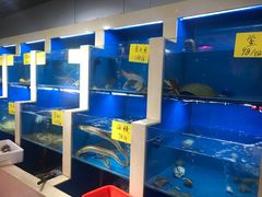 水产区-鹰龙海畔度假酒店(咸祥店)