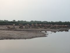 -宁波杭州湾国家湿地公园