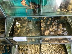 -小叶大馅饺子城