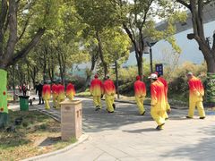 -溱湖国家湿地公园