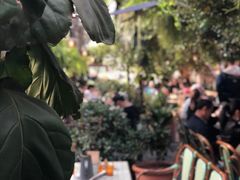 -The Grounds of Alexandria