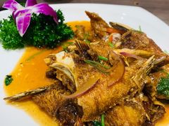 美级红鱼翅-周锦记广式餐厅(格林生活坊2期店)