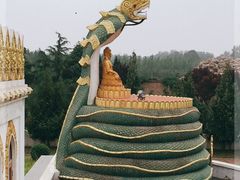 -洛阳白马寺