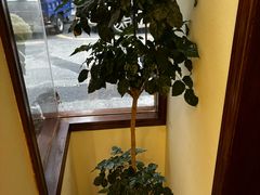 -初甜·舒芙蕾·韩式雪花冰(流塘店)