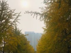 -辽宁大学(崇山校区)