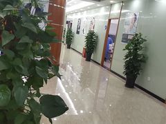 -茂菊口腔连锁(浦东南路店)