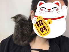 -Heymao猫咖.咖啡厅(东门店)