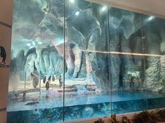 -帝企鹅自助餐厅•儿童岛•真企鹅(长隆企鹅酒店)