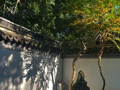-秋霞圃