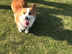 -上海月湖雕塑公园