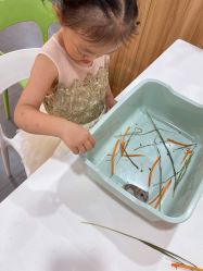 -Moni星球萌宠·小马宝莉·灵蛇·高端高阶全萌宠互动体验俱乐部(红豆国际广场店)