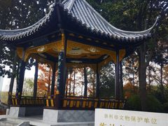-梅园