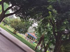 -西南政法大学(沙坪坝校区)